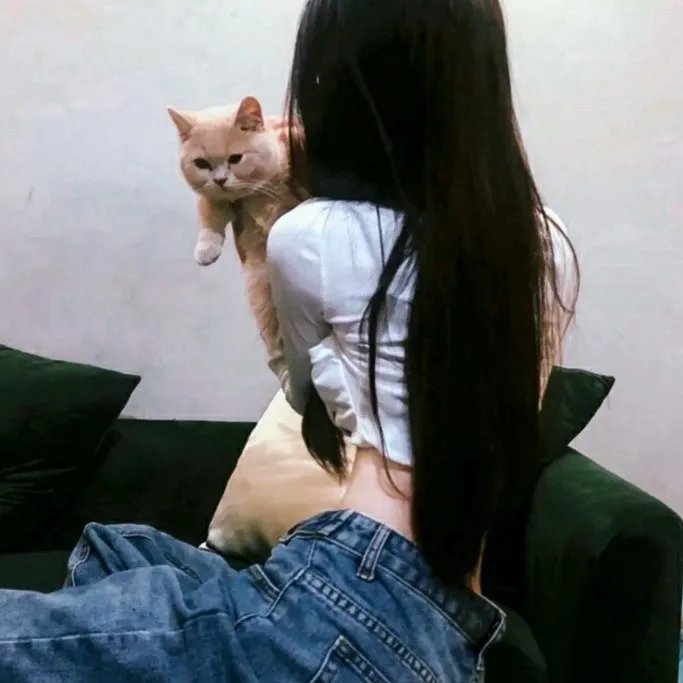 花篮花儿香
